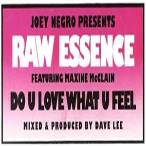 Joey Negro Presents Raw Essence Featuring Maxine McClain - Do U Love What U Feel FLAC