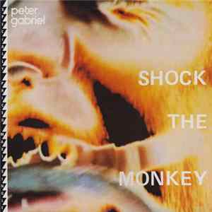 Peter Gabriel - Shock The Monkey FLAC