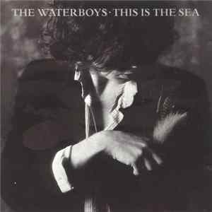 The Waterboys - This Is The Sea FLAC