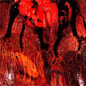 Medicine Noose, Spewn - Split LP FLAC