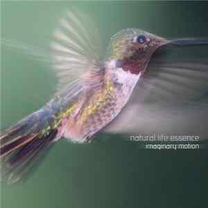 Natural Life Essence - Imaginary Motion FLAC