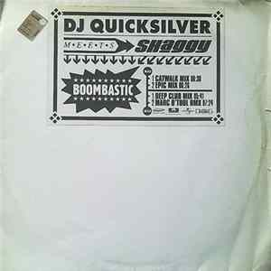 DJ Quicksilver Meets Shaggy - Boombastic FLAC