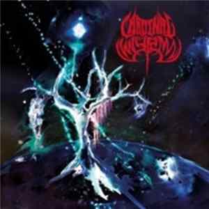 Cardinal Wyrm - Black Hole Gods FLAC