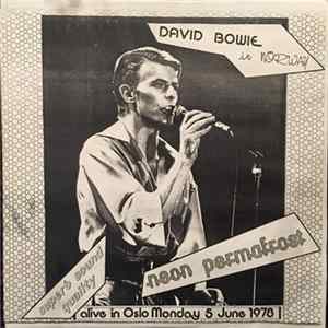 David Bowie - Neon Permafrost FLAC