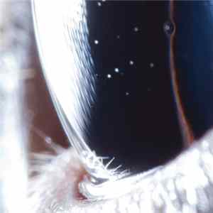 Roly Porter - Third Law FLAC