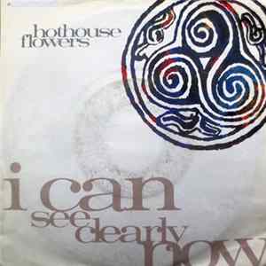 Hothouse Flowers - I Can See Clearly Now FLAC