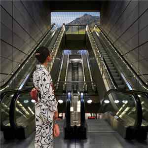 猫 シ Corp. - Palm Mall Mars FLAC