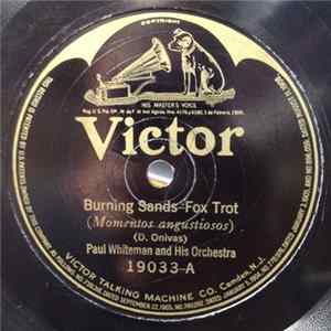 Paul Whiteman And His Orchestra - Burning Sands / Falling FLAC