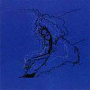 Polar Bear - Dim Lit FLAC