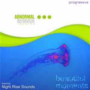 Night Rise Sounds - Beautiful Moments FLAC