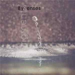 BySenses - Frigments​-​Fragments FLAC