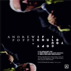 Andrew Poppy - If I Could Copy You FLAC