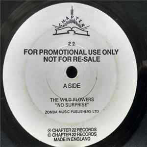 The Wild Flowers - No Surprise FLAC
