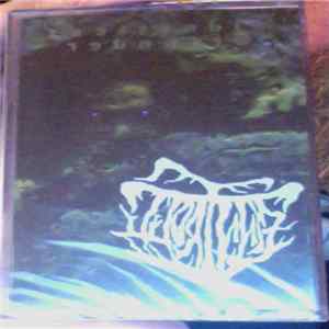 Finntroll - Midnattens Widunder FLAC