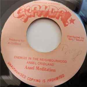 Ansel Meditation - Enemies In The Neighbourhood FLAC