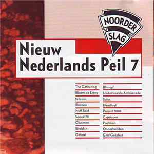 Various - Nieuw Nederlands Peil 7 (Noorderslag) FLAC