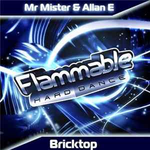 Mr Mister & Allan E - Bricktop FLAC