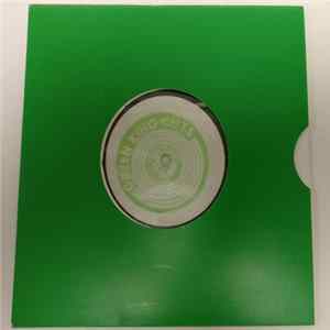 Vibronics - Stepping Stone FLAC