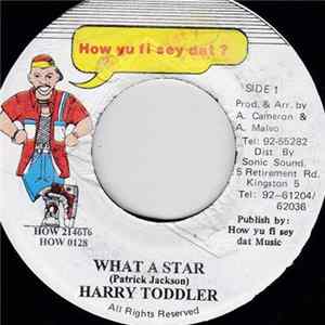 Harry Toddler - What A Star FLAC