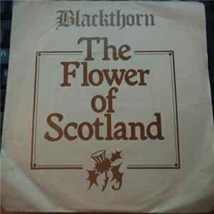 Blackthorn - Flower Of Scotland FLAC