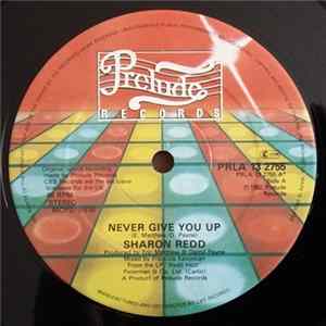 Sharon Redd - Never Give You Up / Beat The Street (Special U.S. Remix) FLAC