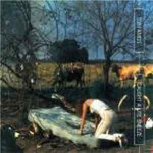 Tori Amos - Caught A Lite Sneeze FLAC