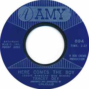 Tracey Dey - Here Comes The Boy FLAC