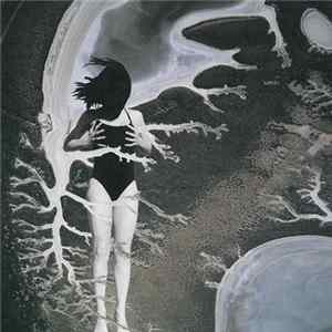 Fun Fun Funeral - Chin Up ! FLAC
