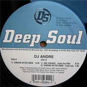 DJ Andre - Singing After Dark FLAC