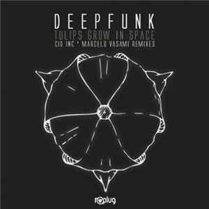 Deepfunk - Tulips Grow In Space FLAC