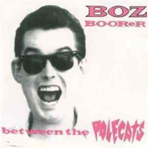 Boz Boorer - Between The Polecats FLAC