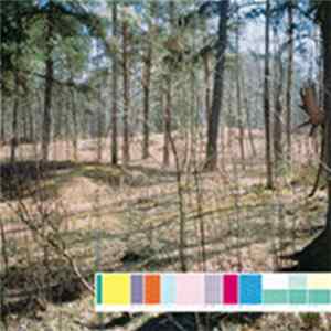 Differnet - Come On And Bring Back The Brjokén Sounds Of Yore! FLAC