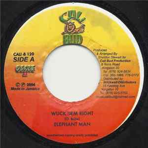 Elephant Man - Wuck Dem Right FLAC