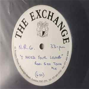 N.R.G. - I Need Your Loving (Roni Size Remix) FLAC
