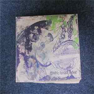 Gastric Female Reflex - Untitled FLAC
