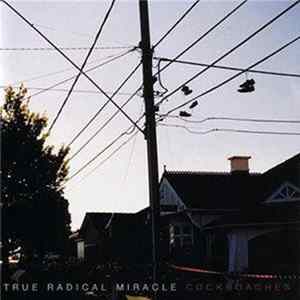 True Radical Miracle - Cockroaches FLAC