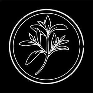 Cold Cave - Nothing Is True But You FLAC