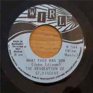 The Revolution Of St. Vincent - Discoringue / What Ever Man Saw FLAC