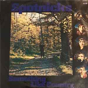 Spotnicks - Something Like Country FLAC