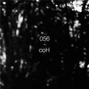 CoH - A Colourful Storm FLAC