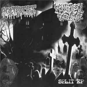 Agathocles / Venereal Disease - Split EP FLAC