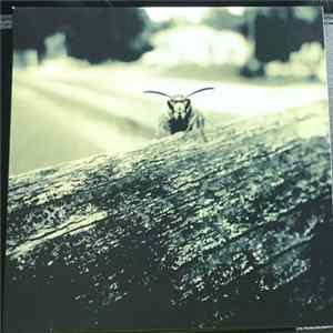 Rebel Drones - Abusing The System FLAC