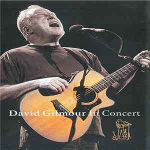 David Gilmour - David Gilmour In Concert FLAC