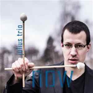 Julius Trio - Now FLAC