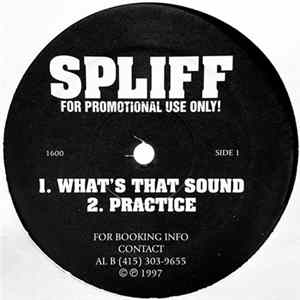 Spliff - What's That Sound / Practice FLAC