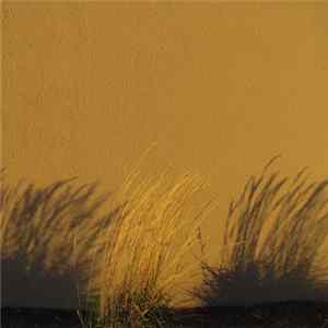 Porya Hatami - Shallow FLAC