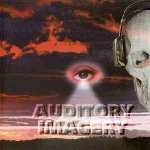 Auditory Imagery - Reign FLAC