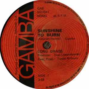 Long Grass - Sunshine To Burn FLAC