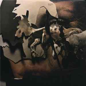 Jenny Hval - Viscera FLAC