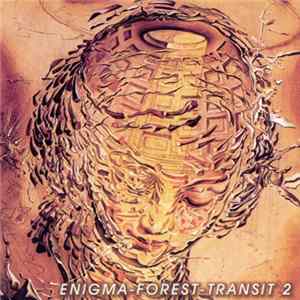 Various - Enigma-Forest-Transit 2 FLAC